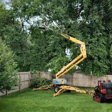 Landscape Design and Installation in Lebanon, VA