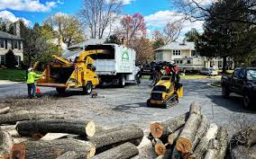 Best Lawn Renovation and Restoration  in Lebanon, VA